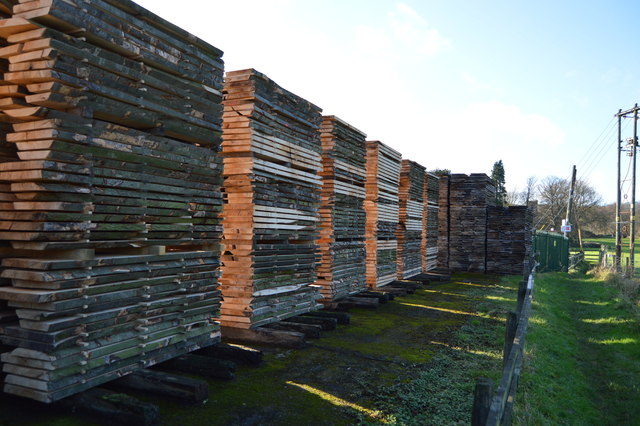 Seasoned oak in the timber store